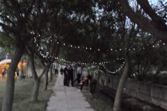 pilisi_piknik_2018_018