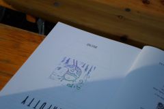 pilisi_piknik_2018_026