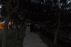 pilisi_piknik_2018_088