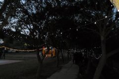 pilisi_piknik_2018_141