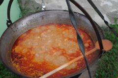 pilisi_piknik_2018_204