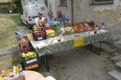 pilisi_piknik_2019_067