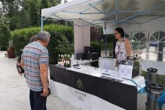 pilisi_piknik_2021_001