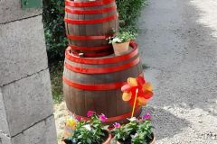 pilisi_piknik_2021_024