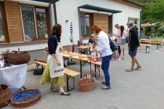 pilisi_piknik_2022_035