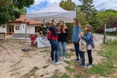 pilisi_piknik_2022_063
