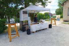pilisi_piknik_2022_095