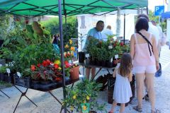 pilisi_piknik_2024_003