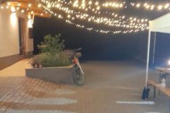 pilisi_piknik_2024_005