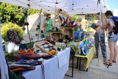 pilisi_piknik_2024_007