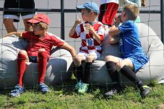 pilisi_piknik_2024_015