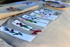 pilisi_piknik_2024_042