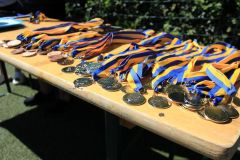 pilisi_piknik_2024_064