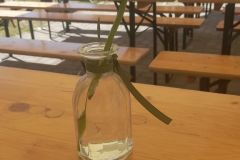 pilisi_piknik_2025_002