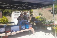 pilisi_piknik_2025_005