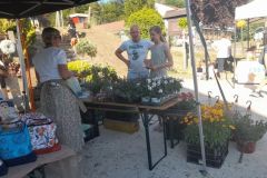 pilisi_piknik_2025_039