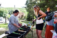 pilisi_piknik_2026_013