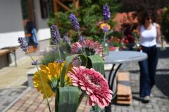 pilisi_piknik_2026_036