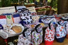 pilisi_piknik_2026_037