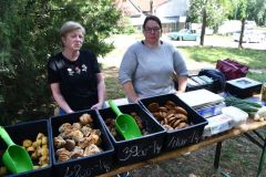 pilisi_piknik_2026_040
