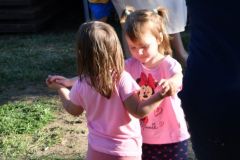 pilisi_piknik_2026_049