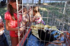 pilisi_piknik_2026_051