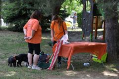 pilisi_piknik_2026_060