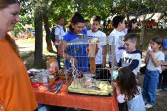 pilisi_piknik_2026_079