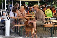 pilisi_piknik_2026_091