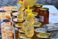 pilisi_piknik_2026_102