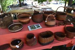 pilisi_piknik_2026_129