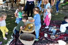 pilisi_piknik_2026_170