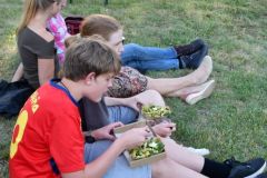 pilisi_piknik_2026_181
