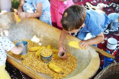 pilisi_piknik_2026_197