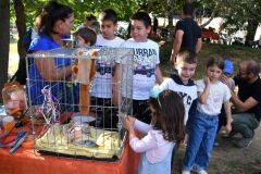 pilisi_piknik_2026_198