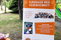 pilisi_piknik_2026_199