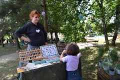 pilisi_piknik_2026_203